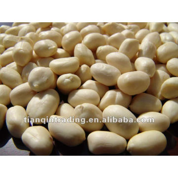 Peanut Kernel exporter